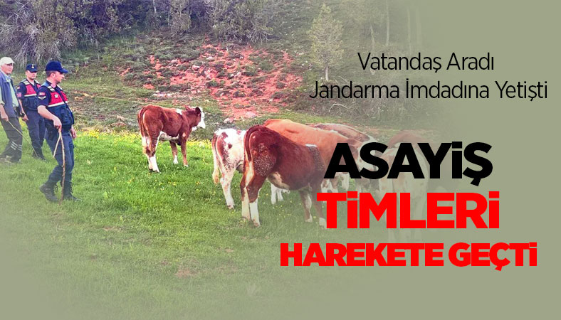 Asayiş Timleri Vatandaşın imdadına yetişti